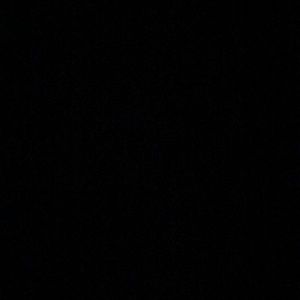 Meet your Posher, Dina